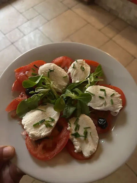 Salade tomate mozzarella